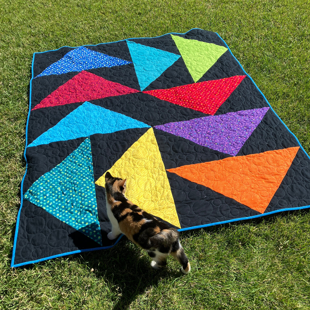 Newsletter for the week of October 20-25, 2025