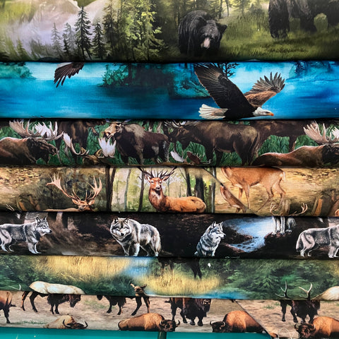 Newsletter for the week of November 3-8, 2025