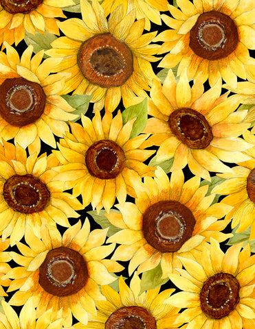 Sunflower Splendor Packed Sunflowers