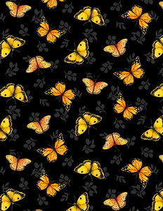 Sunflower Splendor Butterflies on Black