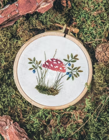 Embroidery Sampler