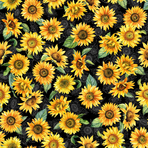 Sunflowers on Black