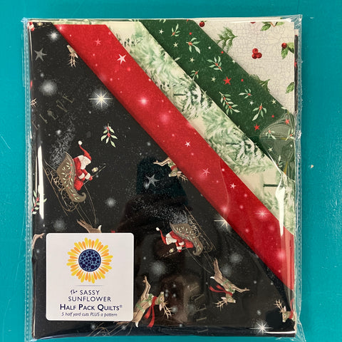 Santa's Sleigh.JPG