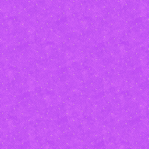F28002-82.jpg