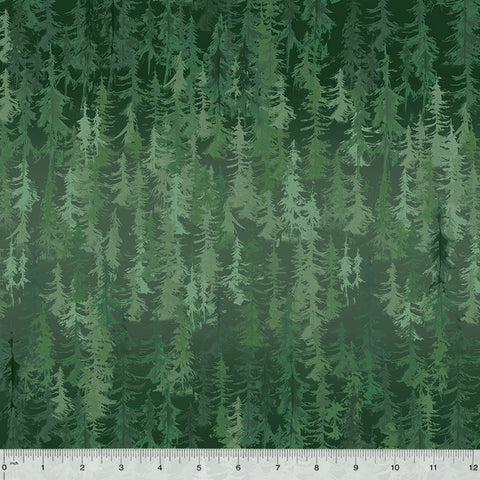 Majestic Pine Forest Pine