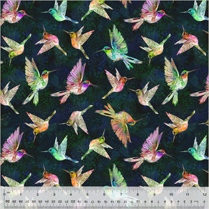 Hummingbird's Charm Birds in Flight Nightfall