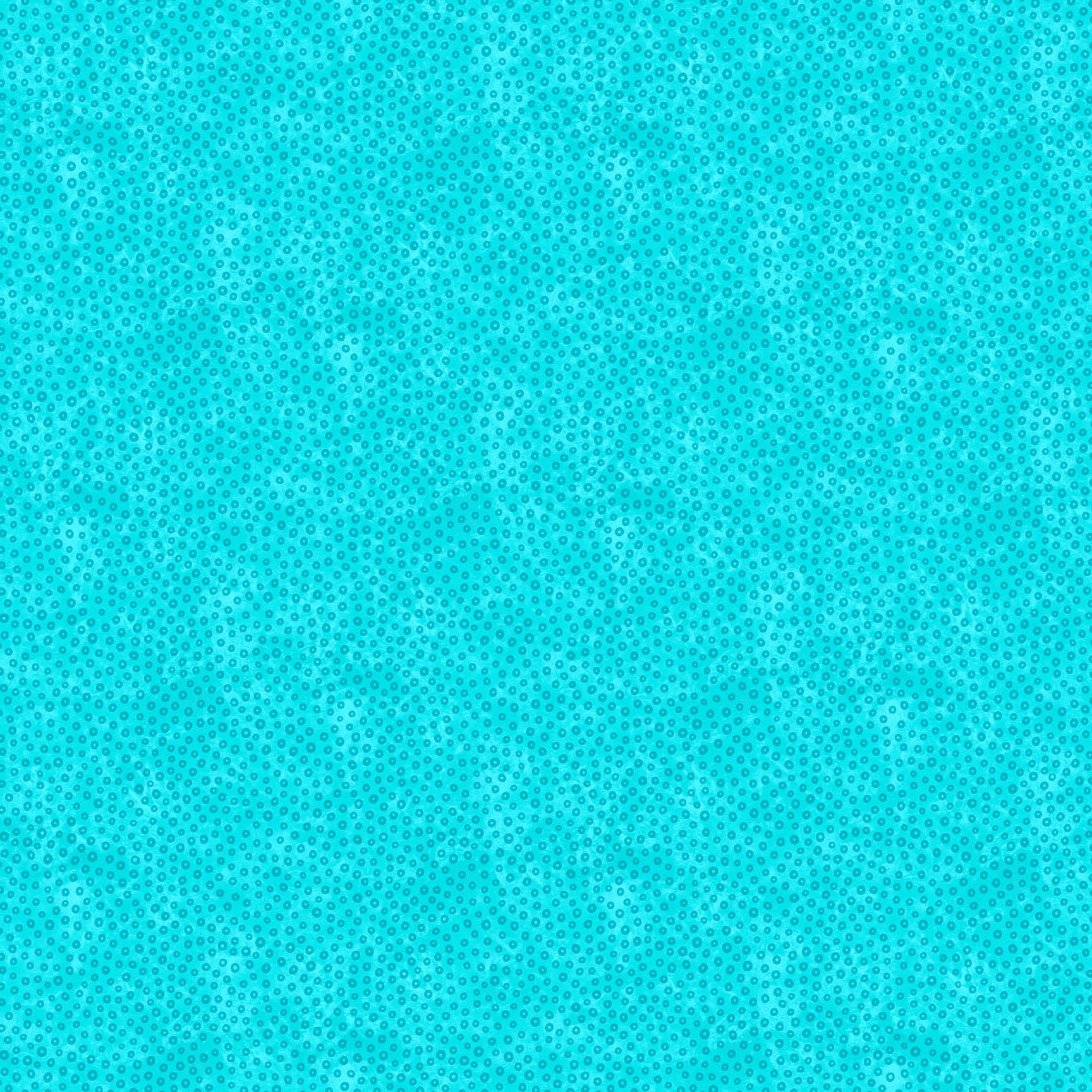 F28004-64.jpg