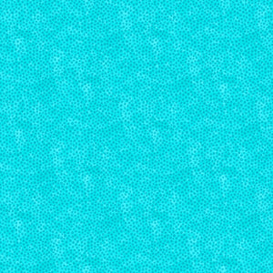 F28004-64.jpg