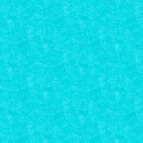 F28004-64.jpg