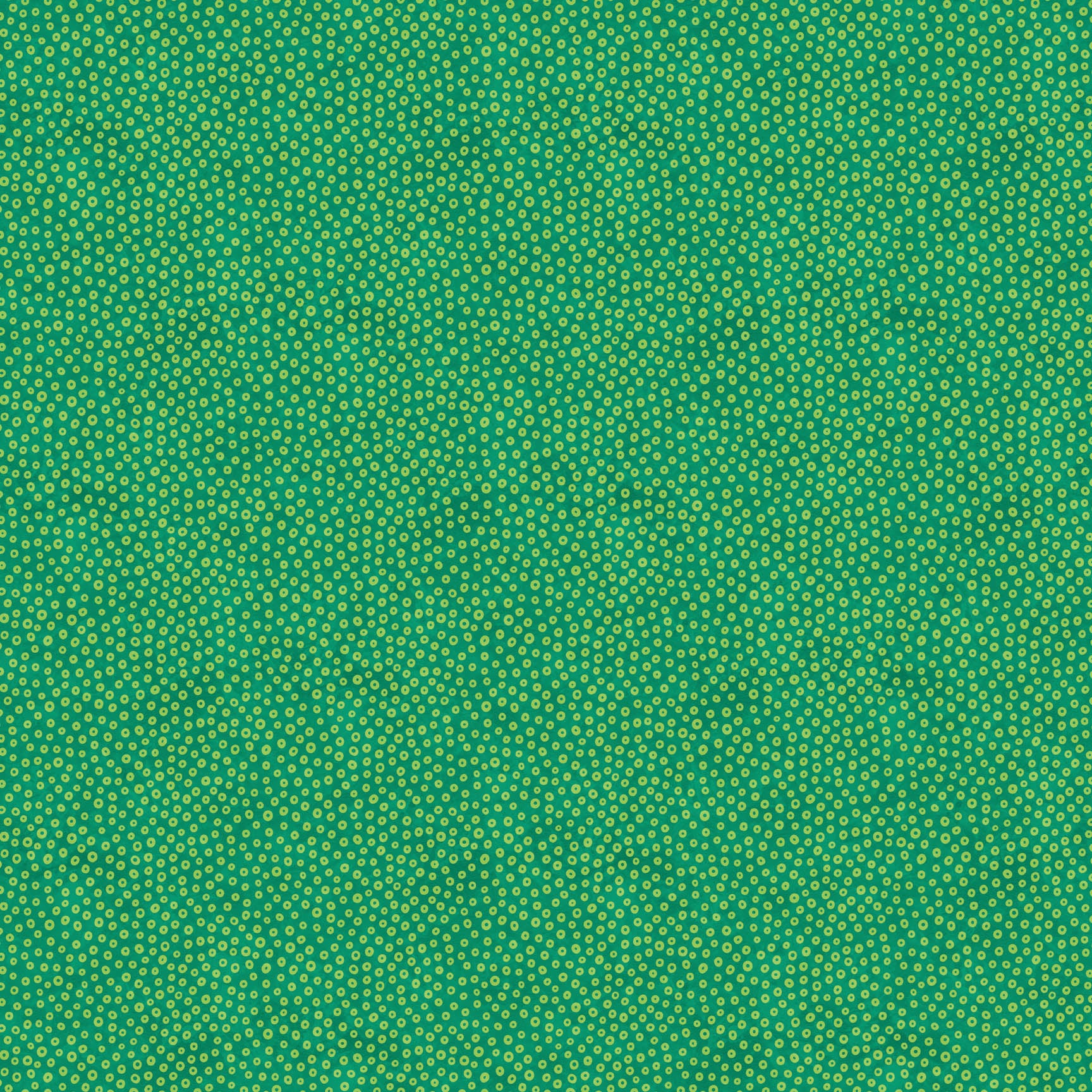 F28004-78.jpg