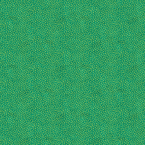 F28004-78.jpg