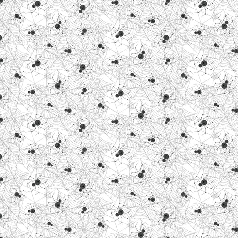 91077-10 Spider - White.jpeg