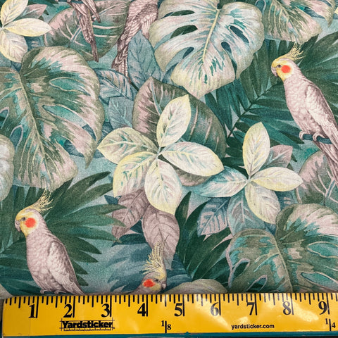 palm leaves w/ birds