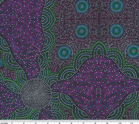 Australian Kangaroo Grass Purple