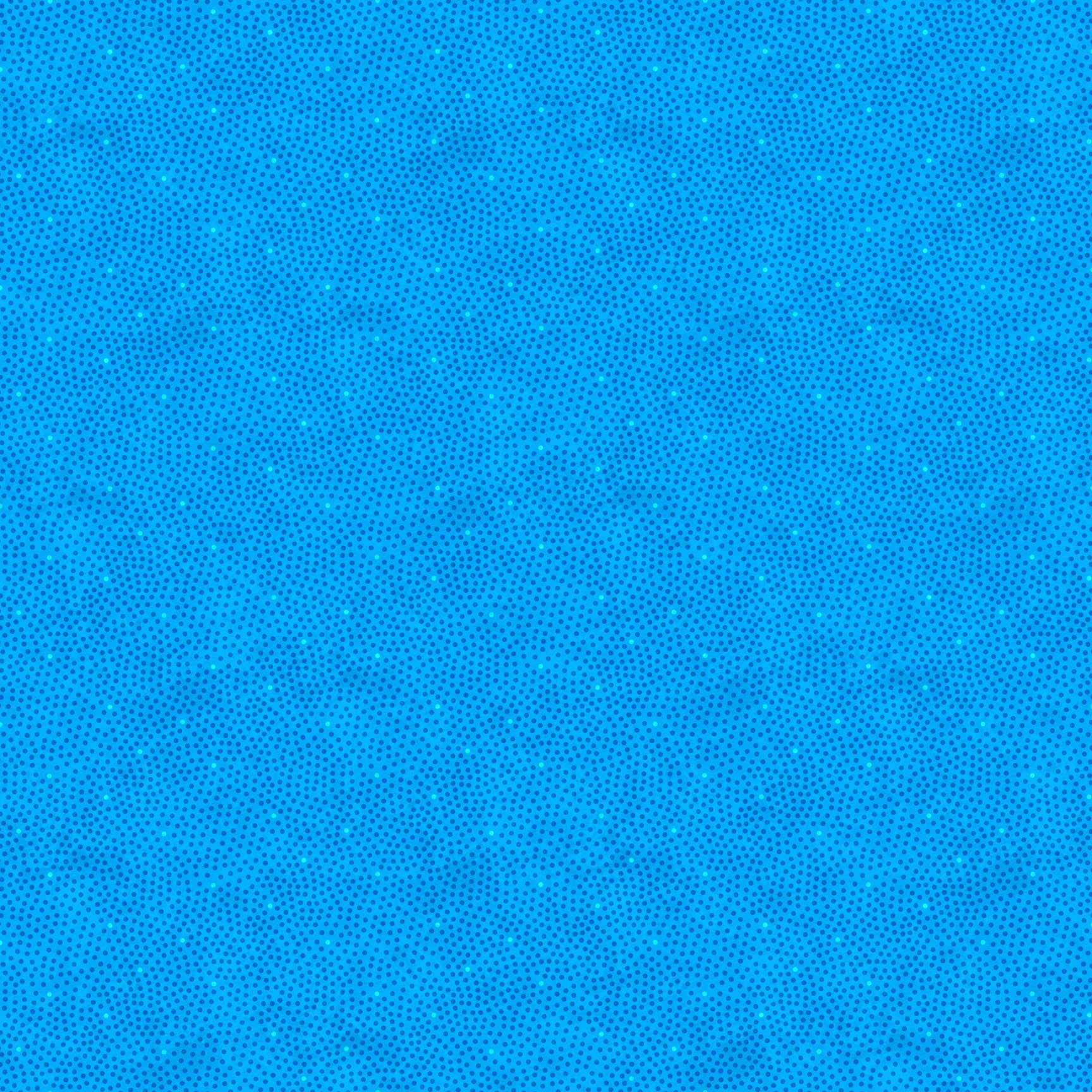 F28002-44.jpg