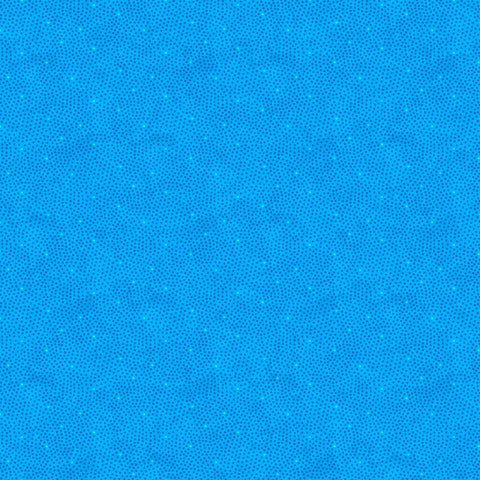 F28002-44.jpg