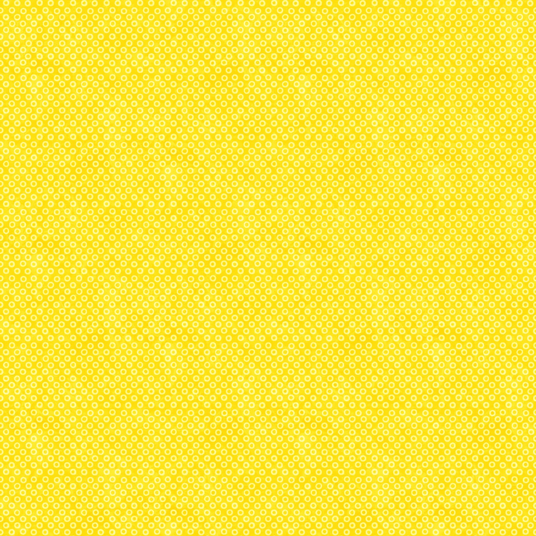 F28005-52.jpg
