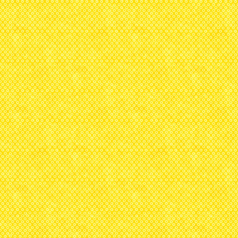F28005-52.jpg