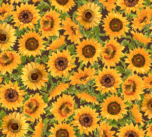 Fall Splendor Sunflowers